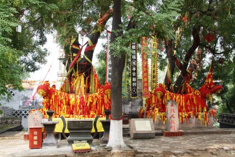 山西洪桐大槐树_山西洪洞大槐树图片_山西大槐树景区照片(2)