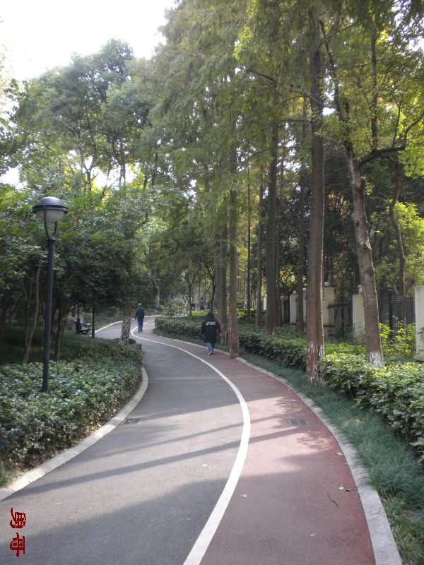 【原创】游遍上海公园-宝山区-大华行知公园