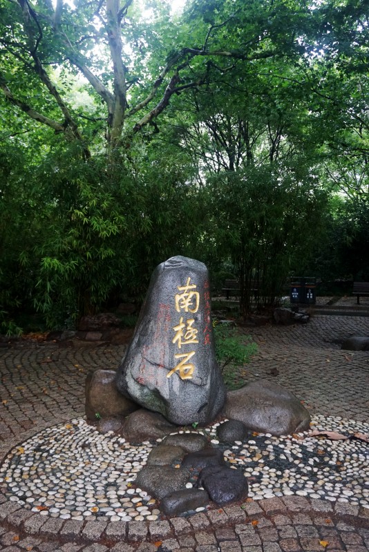 人民公园南极石  屹立园内游客观人民公园荷花池  下雨难挡观花热荷花