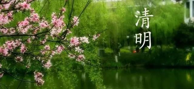 【原创】心香一瓣 清明雨