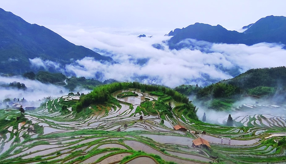 云和梯田主要分布在云和县崇头镇周围高山上,海拔跨度为200米—1400