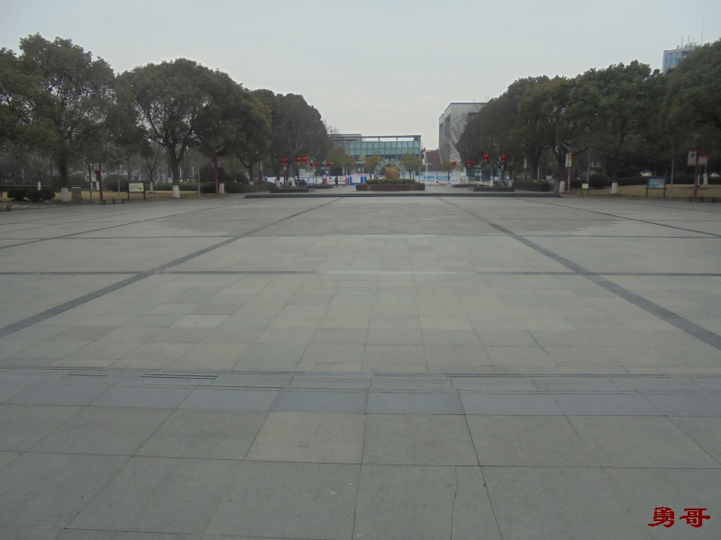 【原创】游遍上海公园-崇明区-南门广场绿地公园