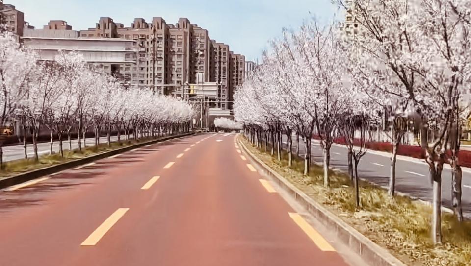 走上海看发展第1804篇——走在四月天的春光里。