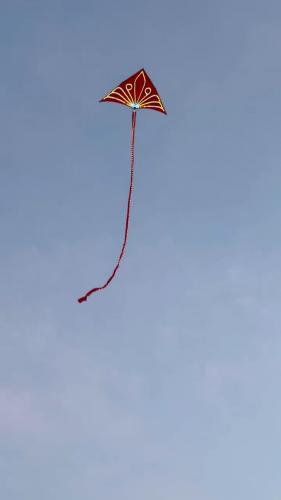 长春文化广场上的彩色风筝-2