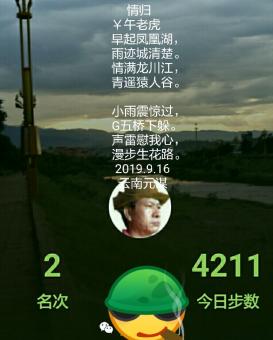 情归
