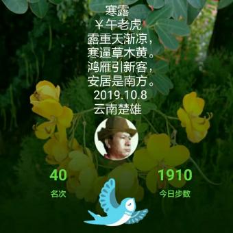寒露