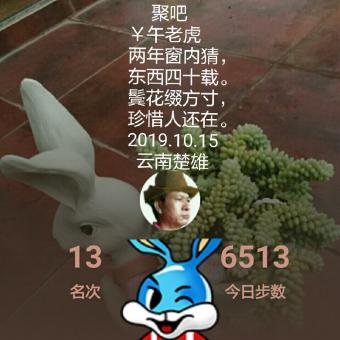 聚聚吧