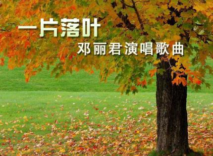 《一片落叶》/ 邓丽君