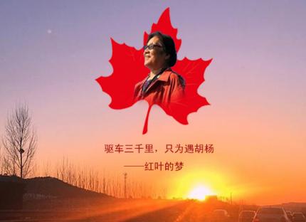 千里会胡杨    圆了红叶梦