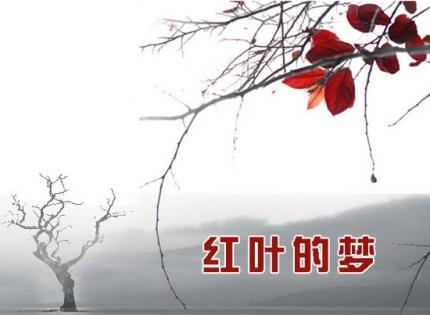 红叶的梦