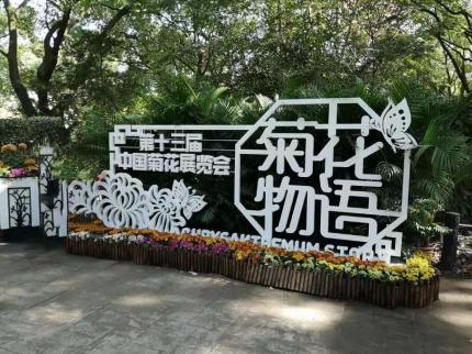 共青森林公园《第十三届中国（上海）菊花展》掠影