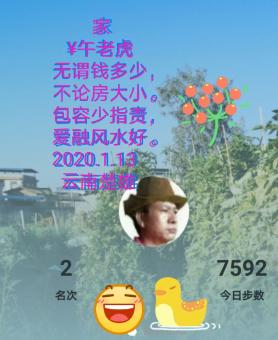 家