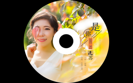 定型后cmp4播放器[添加下载插件]