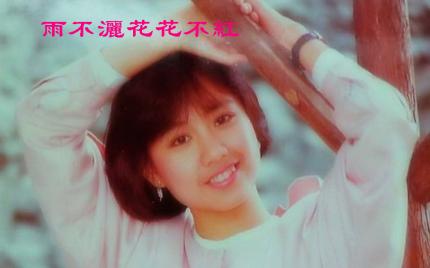 《雨不洒花花不红》蔡幸娟