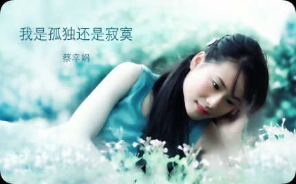 《我是孤独还是寂寞》蔡幸娟