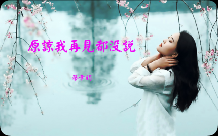 《原谅我再见都没说》蔡幸娟