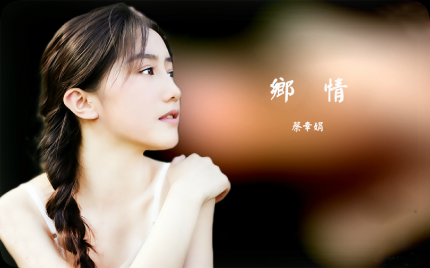 《乡情》蔡幸娟