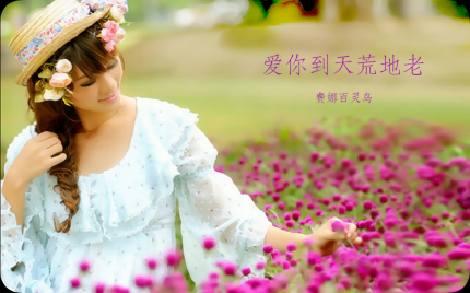 《爱你到天荒地老》费娜百灵鸟