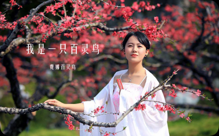 《我是一只百灵鸟》费娜百灵鸟