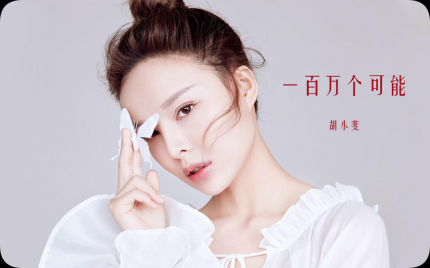 《一百万个可能》胡小斐