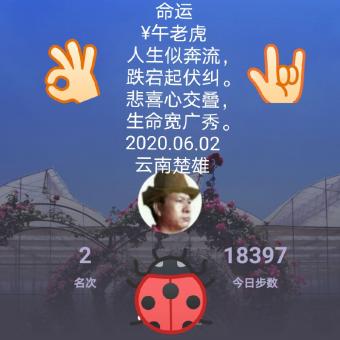 命运