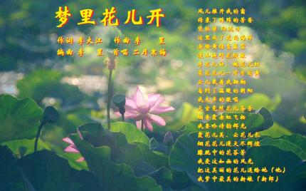《梦里花儿开》二月寒梅