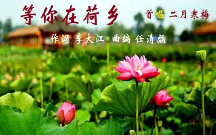 《等你在荷乡》二月寒梅