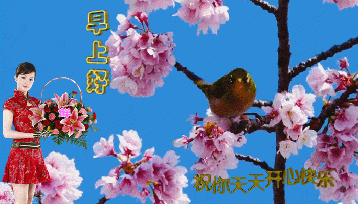 春天鸟语花香动态图图片