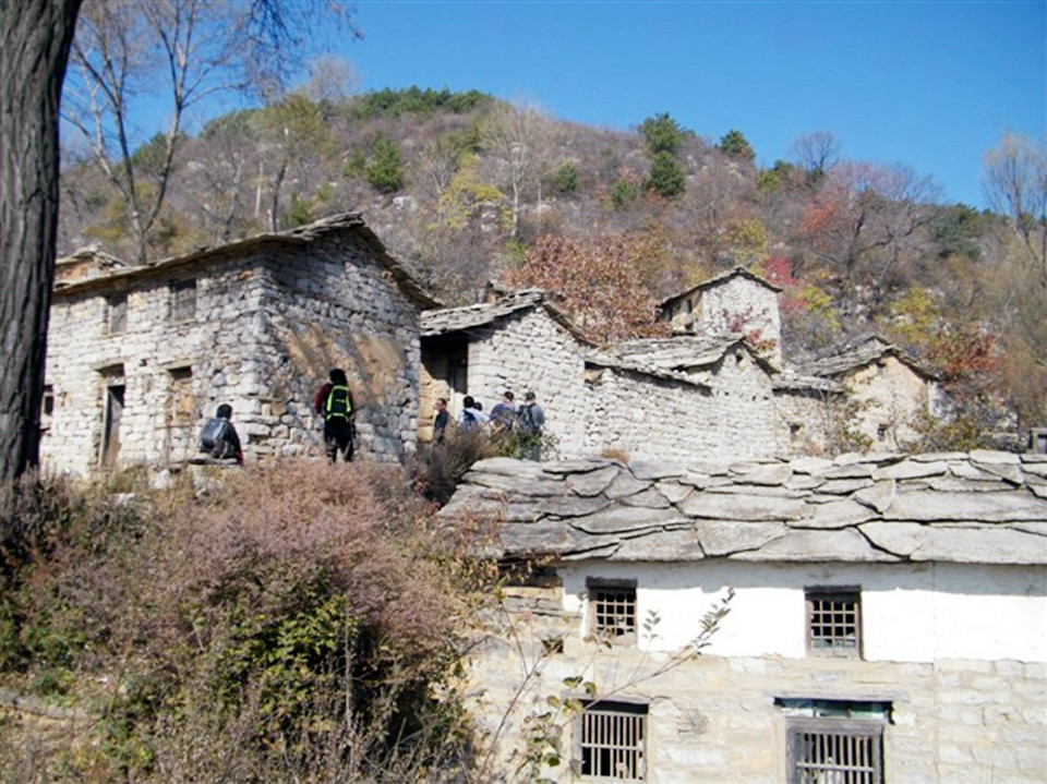 石板岩镇大脑村图片