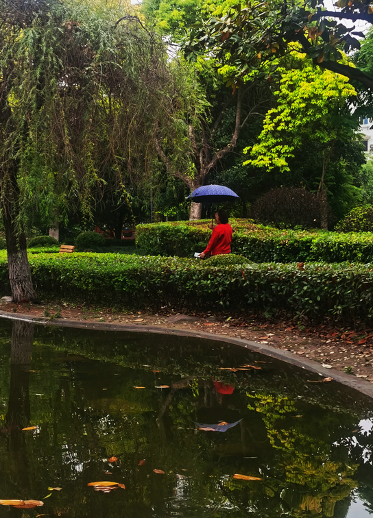 原创 小区雨中散步