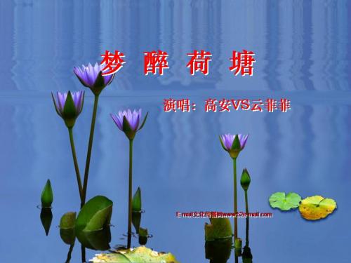 梦醉荷塘