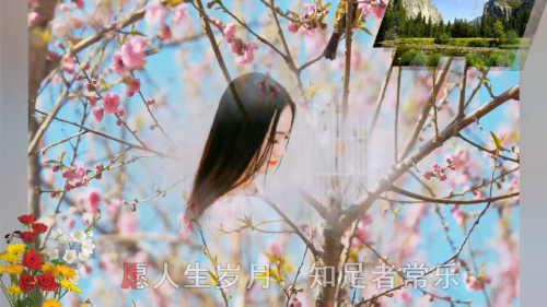 愿人生岁月，知足者常乐