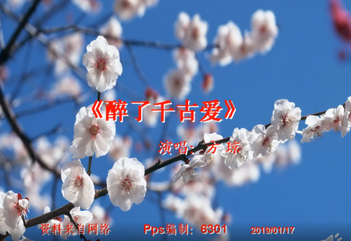 音乐《醉了千古爱》