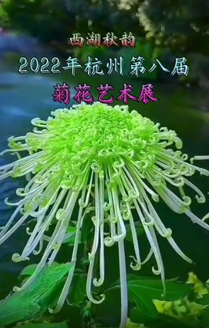西湖秋韵