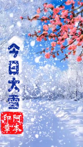 今日大雪