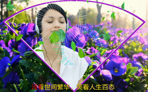 淡看世间繁华，笑看人生百态