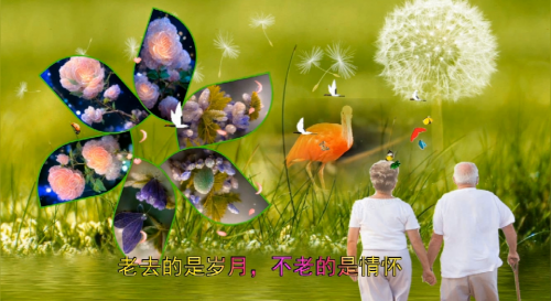 老去的是岁月，不老的是情怀