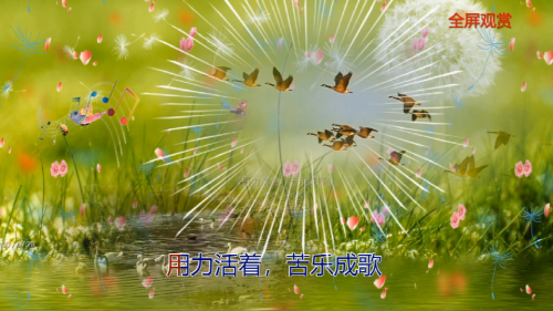 同步朗读用力活着，苦乐成歌