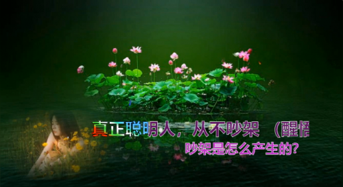 真正聪明人，从不吵架