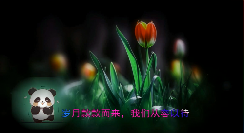 岁月款款而来，我们从容以待