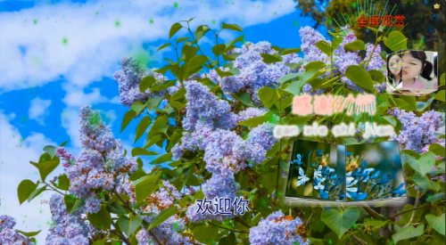 感谢时间