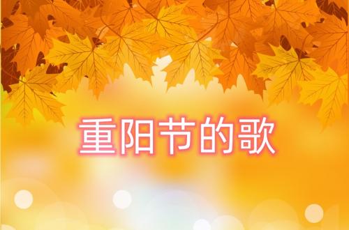 重阳节的歌
