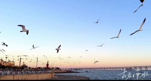 北方的海