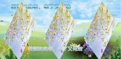 若能如此老，老了又何妨