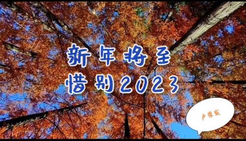 过年好