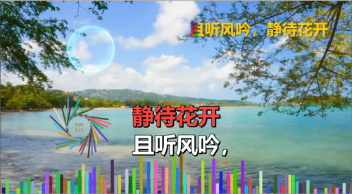 且听风吟，静待花开