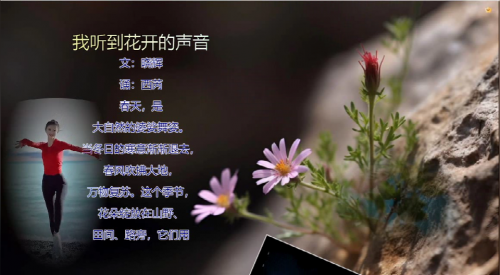 我听到花开的声音
