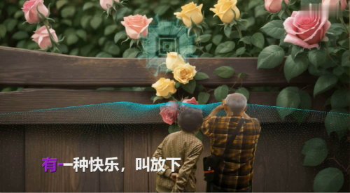 有一种快乐，叫放下
