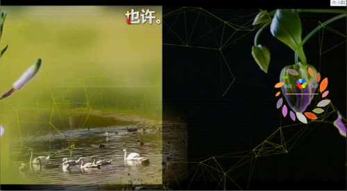 放过自己