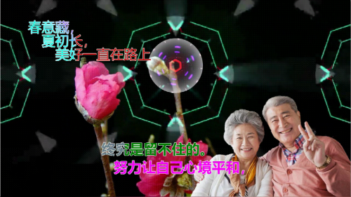 春意藏，夏初长，美好一直在路上
